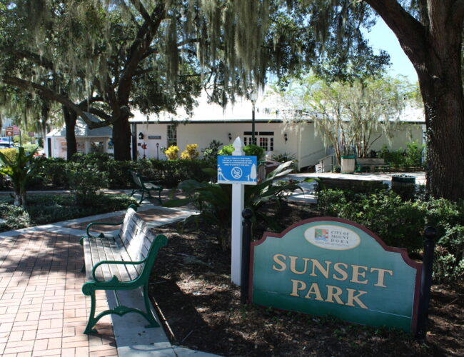 Sunset Park, Mount Dora, FL: The Local’s Guide to Downtown’s Essential Recharge Station