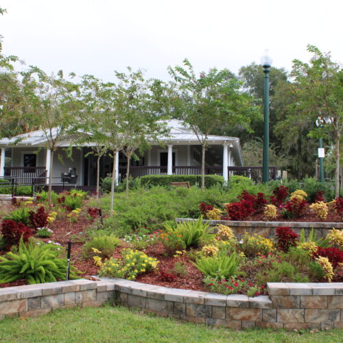 Donnelly Park, Mount Dora, FL: The Prime Venue Guide to Downtown’s Central Gem