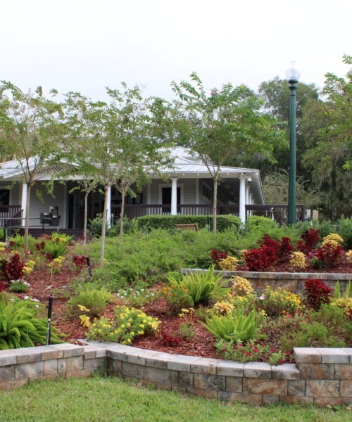 Donnelly Park, Mount Dora, FL: The Prime Venue Guide to Downtown’s Central Gem