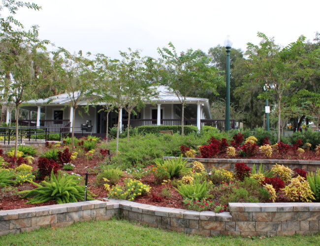 Donnelly Park, Mount Dora, FL: The Prime Venue Guide to Downtown’s Central Gem