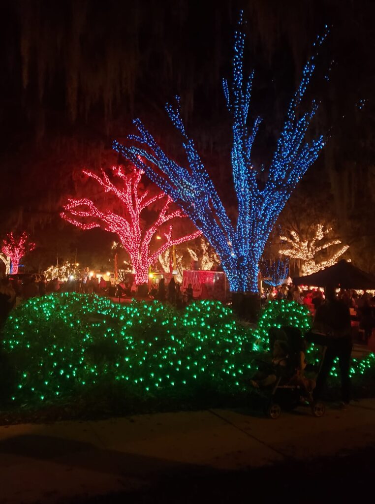 Nighttime view of Donnelly Park during the "Light Up Mount Dora" event, featuring large oak trees wrapped dramatically in brilliant blue and red string lights, with moss hanging from the dark background.